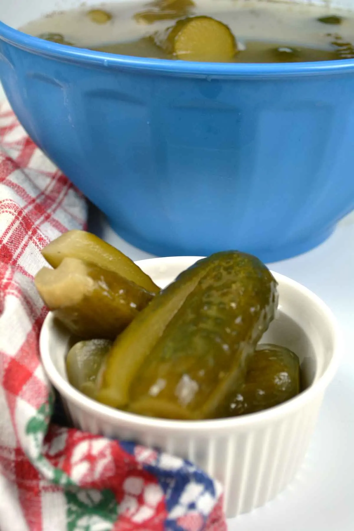 Sun Pickles Recipe-Served in the Small Bowl on the Table