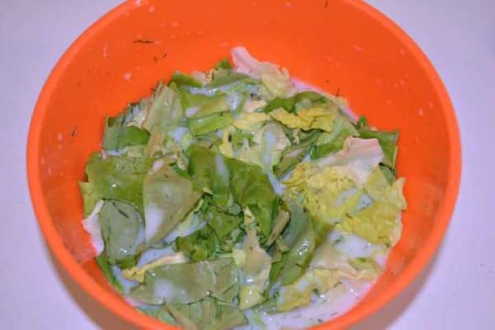 Ready Tossing sliced butterhead lettuce ribbons in the sweet and sour dressing in a mixing bowl.