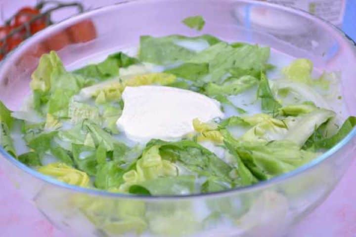 Served Close-up of crisp Hungarian lettuce salad leaves coated in sweet and sour dressing with creamy yogurt and fresh dill.