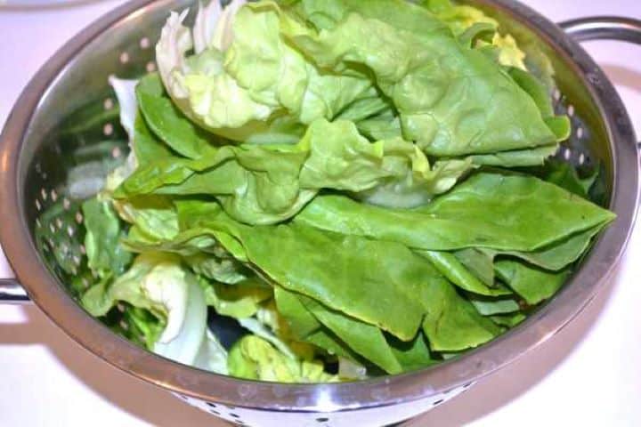 Drain Rinsed butterhead lettuce leaves draining in a colander strainer after washing.