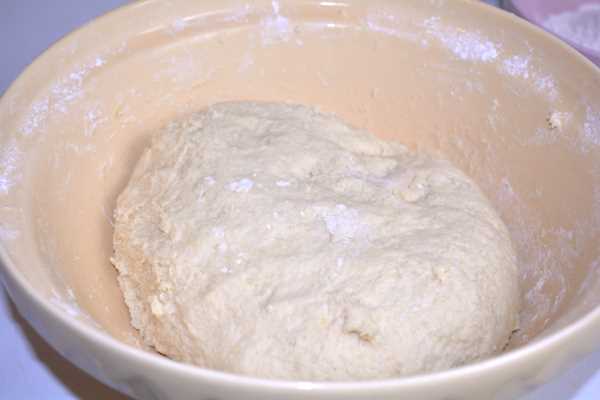 Hungarian Plum Dumplings-Dumplings Dough in the Mixing Bowl