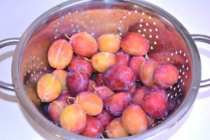 Plums Fresh ripe Italian prune plums washed and drained in a colander for szilvás gombóc filling.