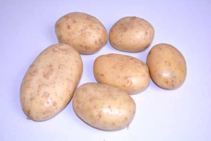Potatoes Whole unpeeled starchy potatoes on a wooden work surface for homemade dumpling dough.