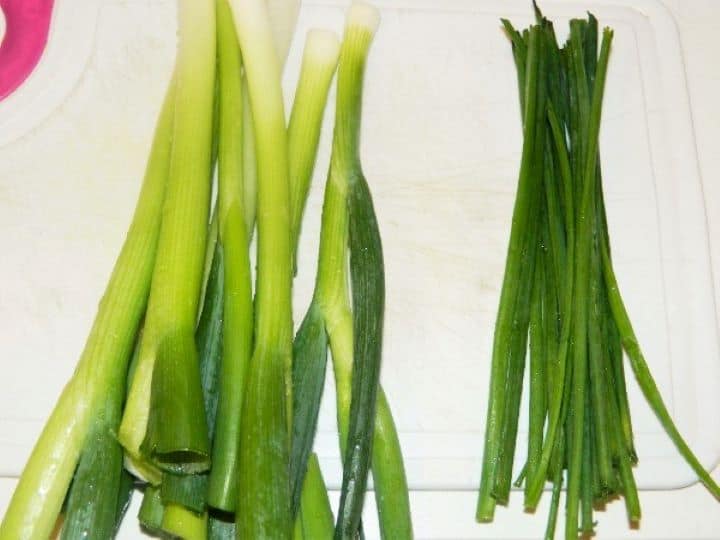 Spring Onion and Chives Spring Onions and Chives on the Chopping Board