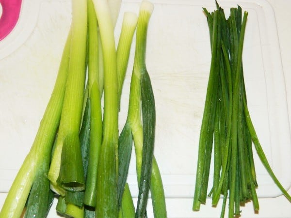 Spring Onions and Chives