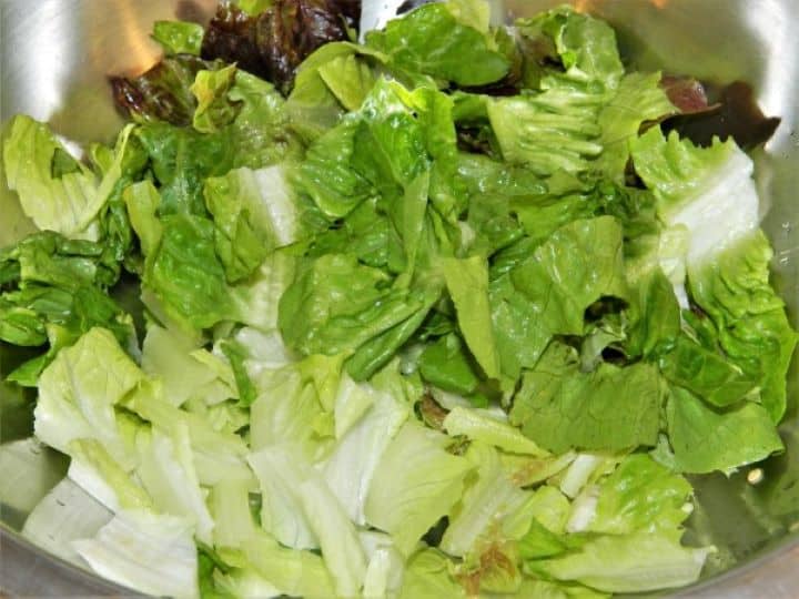 Chopped crisp romaine lettuce placed into a large salad mixing bowl as the base.