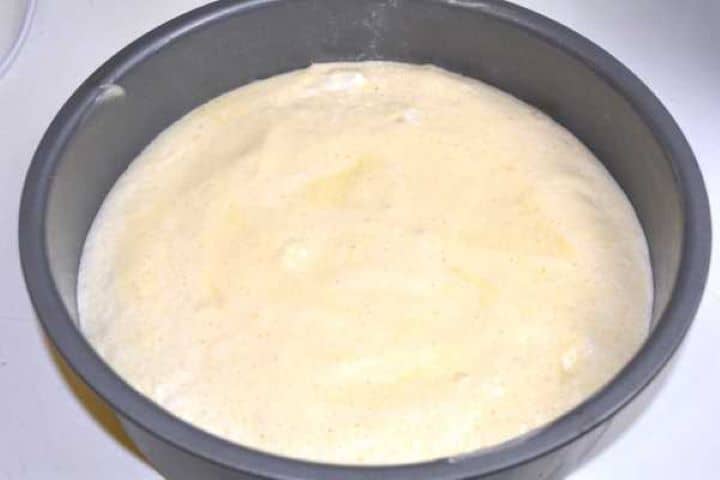 Light sponge cake batter leveled evenly in a greased round springform baking pan.