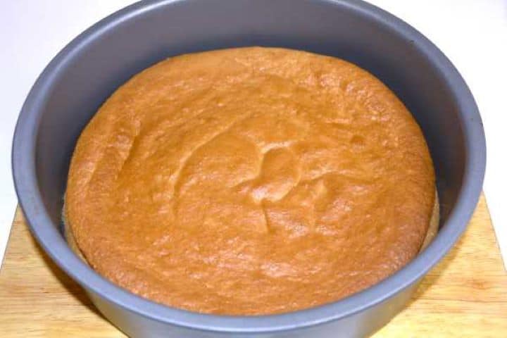 Golden-brown baked sponge cake cooling in a springform pan on the counter.