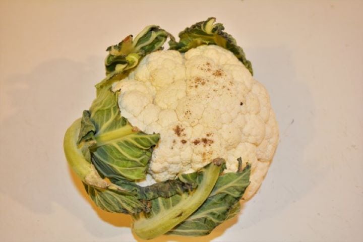 Fresh whole white cauliflower head on a wooden kitchen table for making cold spread.