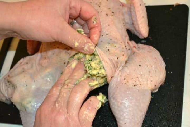 Filling Spreading garlic herb butter under the skin of spatchcock chicken.