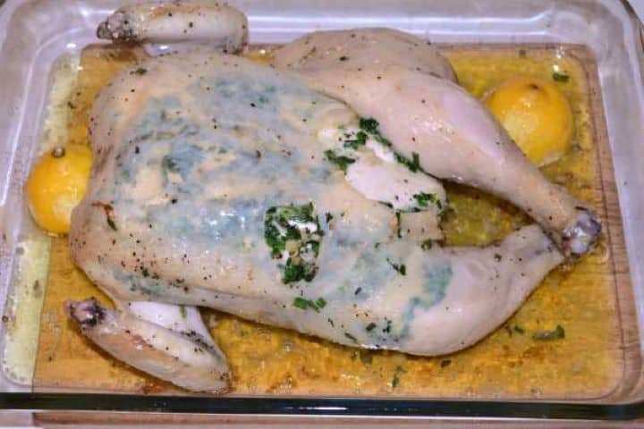 Half Roasted Basting the half-roasted spatchcock chicken with melted garlic butter drippings.
