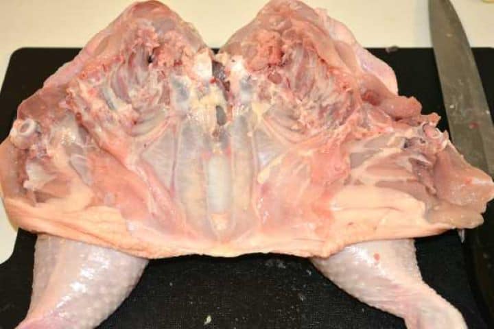 Opened Chicken Whole spatchcocked chicken flattened on a cutting board.