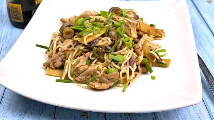 Hoisin Chicken Noodles Served on Deep White Plate