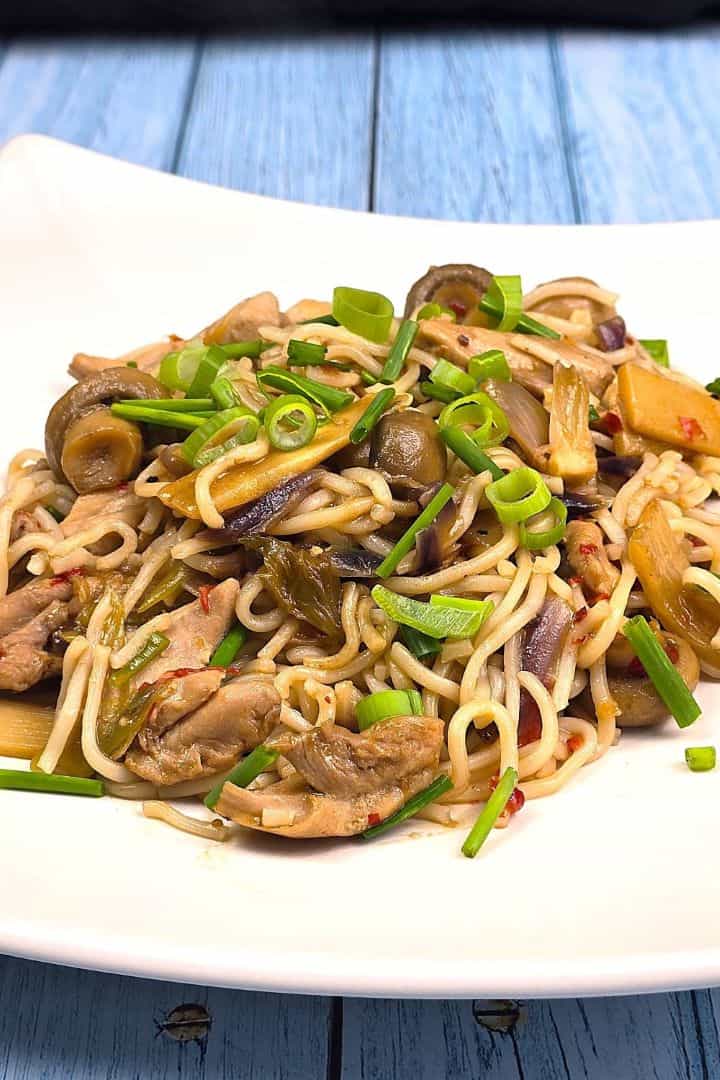 Freshly made easy hoisin chicken noodles garnished with chopped chives and spring onions served on a plate.