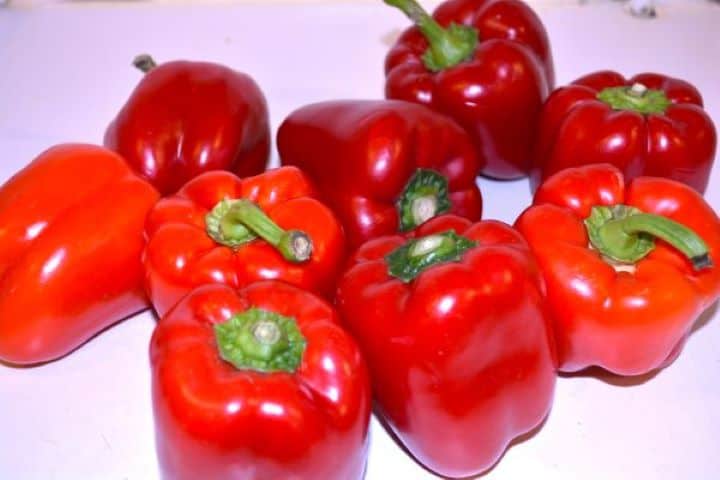 Marinated Roasted Red Peppers-Red Bell Peppers on the Table Nine fresh whole red bell peppers on a table ready for roasting.