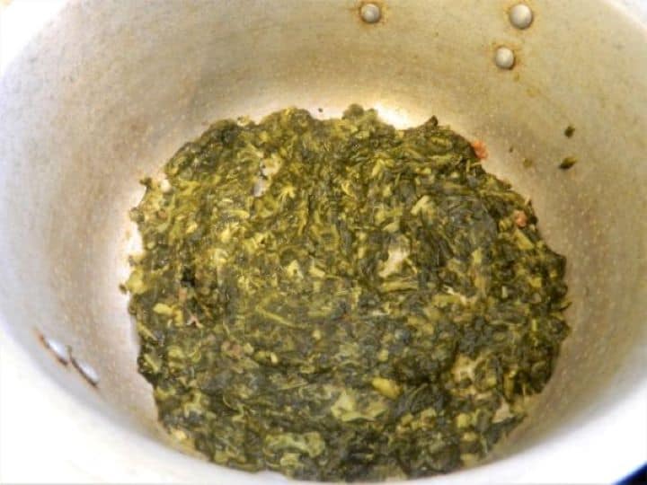 Creating a bottom layer of chopped salted sorrel across the base of a large soup pot.