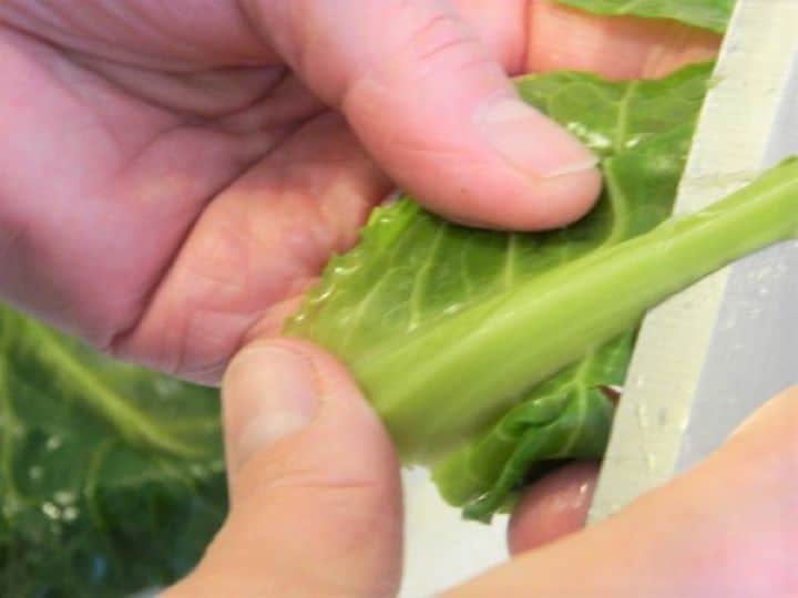 A sharp knife carefully trimming away the thickest part of the center stem from a blanched collard leaf.