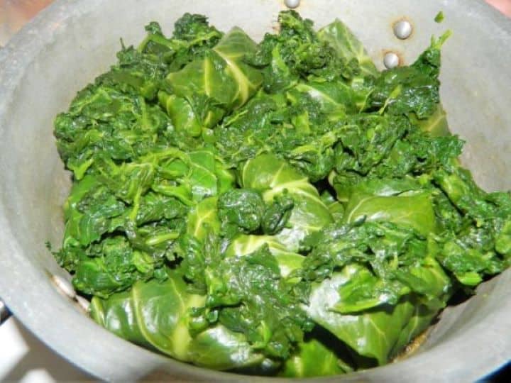 Spreading a layer of frozen spinach evenly over the arranged stuffed green rolls.