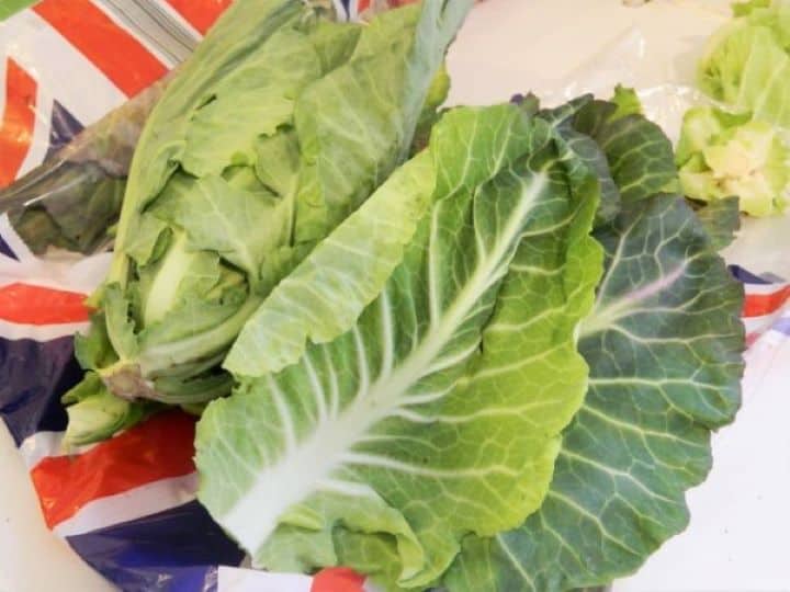 Fresh, vibrant green collard leaves laid out on a kitchen table for making Töltike.