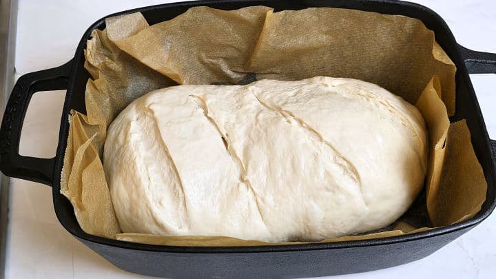 Risen Bread Dough in the Cast Iron Dutch Oven